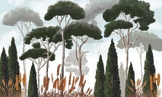 Papier peint sur mesure cyprès pins et herbes de la pampa, mural concept, tendance