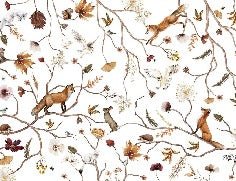 Sfondo dell'avventura nella foresta per bambini