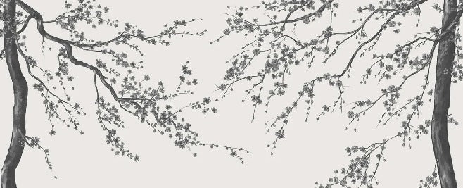 Sakura, carta da parati panoramica in bianco e nero