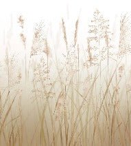 Carta da parati con fiori di campo di grano