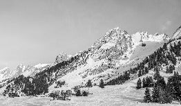 Carta da parati panoramica per chalet alpino