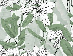 Carta da parati a fiori NB verde fogliame naturale
