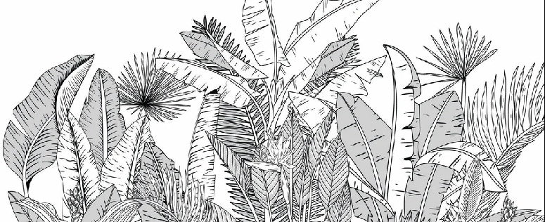 Carta da parati panoramica con foglie botaniche in bianco e nero
