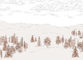 Schizzo di Cimes sépia