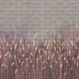 Carta da parati panoramica rosa con erba selvatica