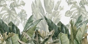 Carta da parati panoramica verde banana