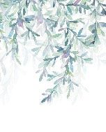 Carta da parati per bagno in stile vegetale e scandinavo