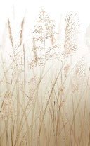 Carta da parati con fiori di campo di grano