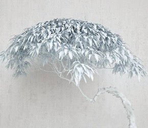 Papier peint panoramique  Arbre Nordic Style, XXL, tendance