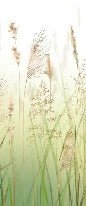 Carta da parati con fiori di campo di grano sfumati