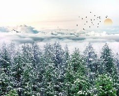 Carta da parati panoramica in tessuto non tessuto foresta di neve