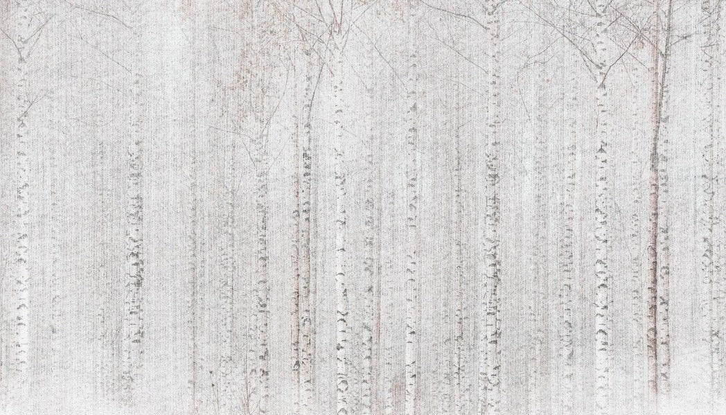 Avvolgente carta da parati della foresta di betulle
