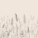 Papier peint panoramique prairie sauvage, XXL, tendance