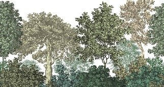 Papier peint paysage forêt gravure, XXL, tendance