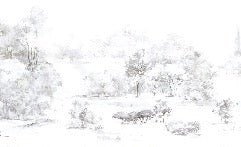 Papier peint forêt de pin aquarelle, XXL, tendance