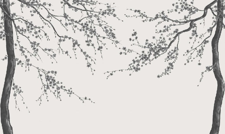 Sakura, carta da parati panoramica in bianco e nero
