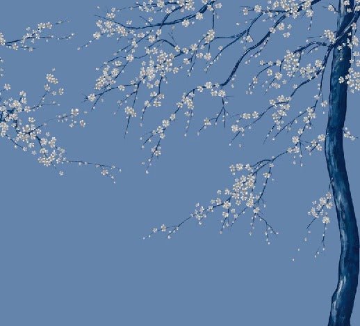 Carta da parati panoramica con fiori blu Sakura