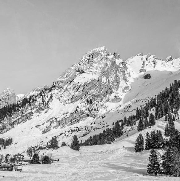 Carta da parati panoramica per chalet alpino