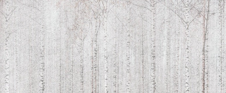 Avvolgente carta da parati della foresta di betulle
