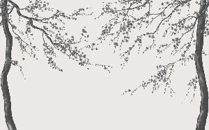 Sakura, carta da parati panoramica in bianco e nero