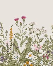 Carta da parati romantica con fiori botanici