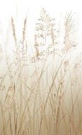 Carta da parati beige con fiori di campo di grano