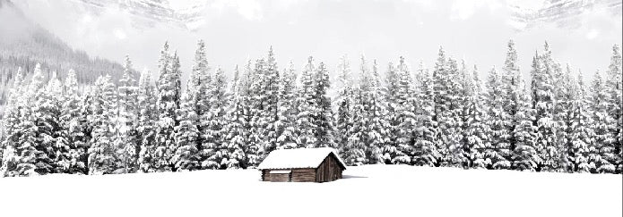 Carta da parati panoramica per chalet di montagna