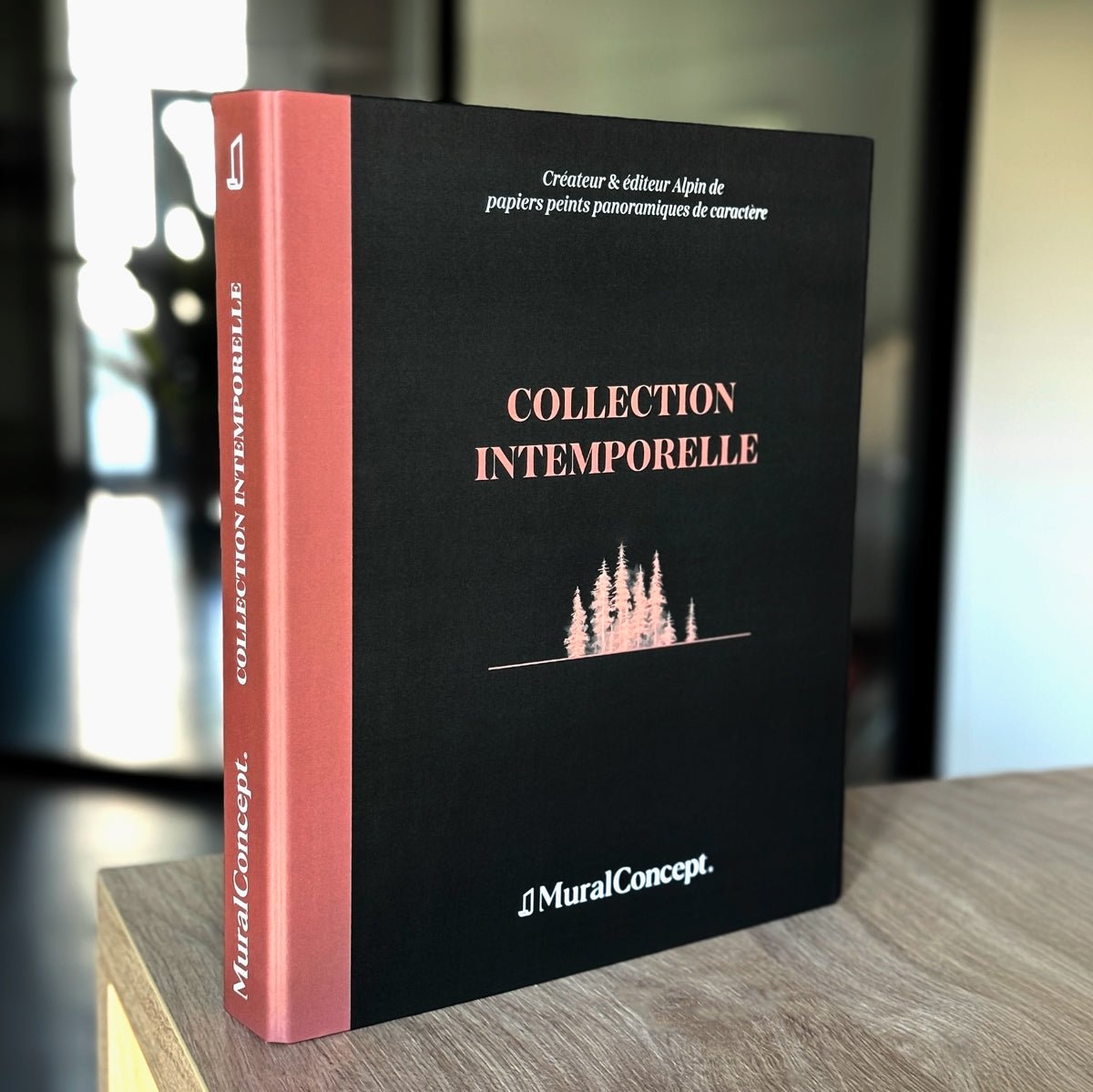 Catalogue de présentation - Nos intemporels, XXL, tendance