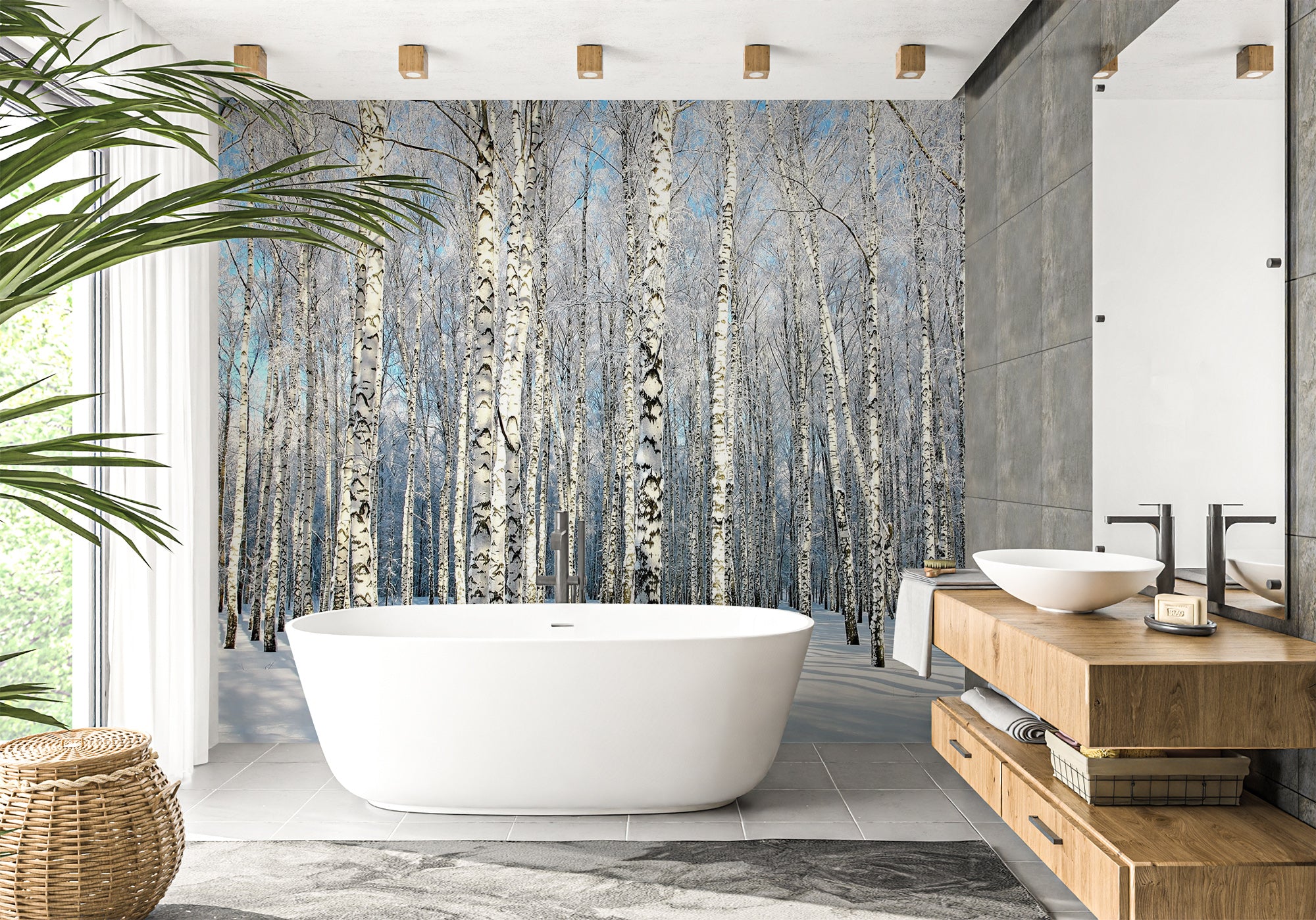 Papier peint salle de bain Bouleau Wood Forêt, XXL, tendance