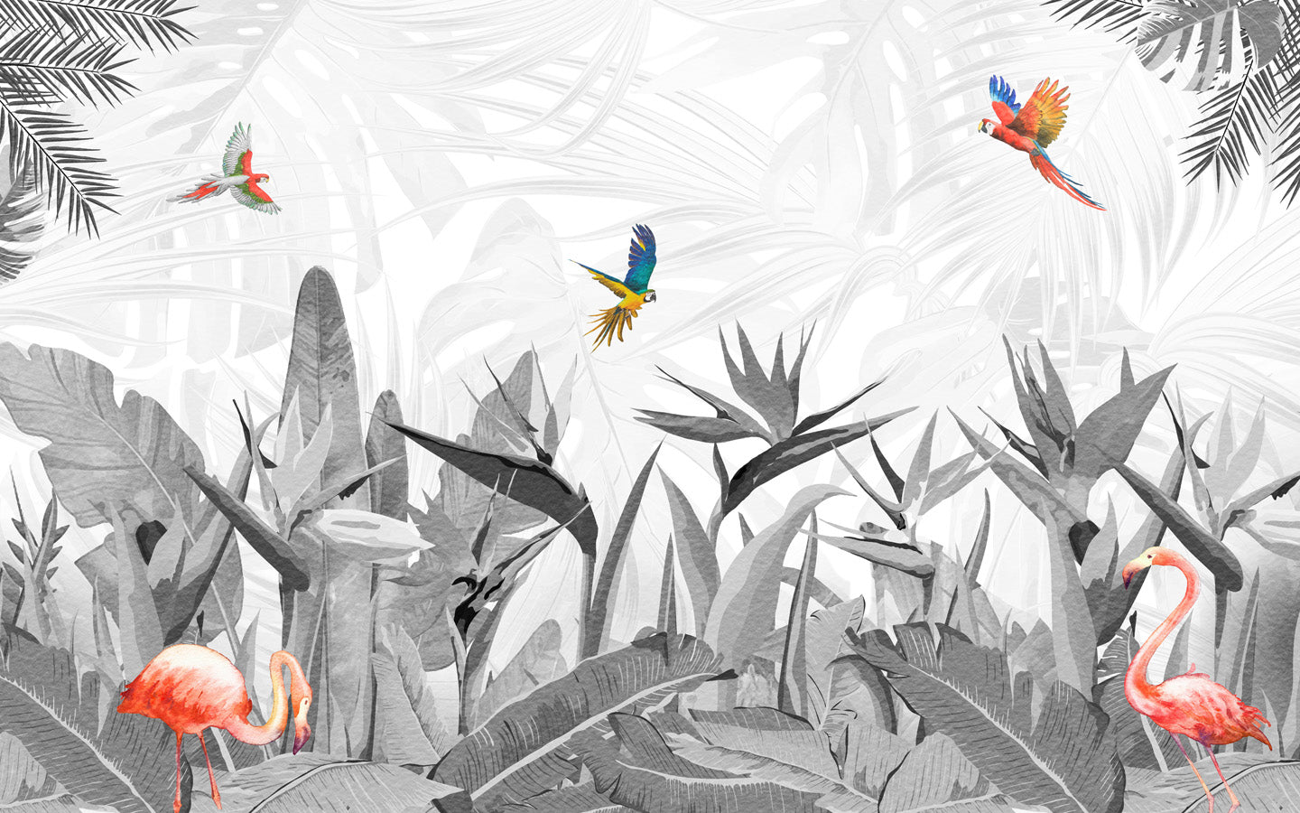 Papier peint noir et blanc oiseau du paradis, mural concept, tendance