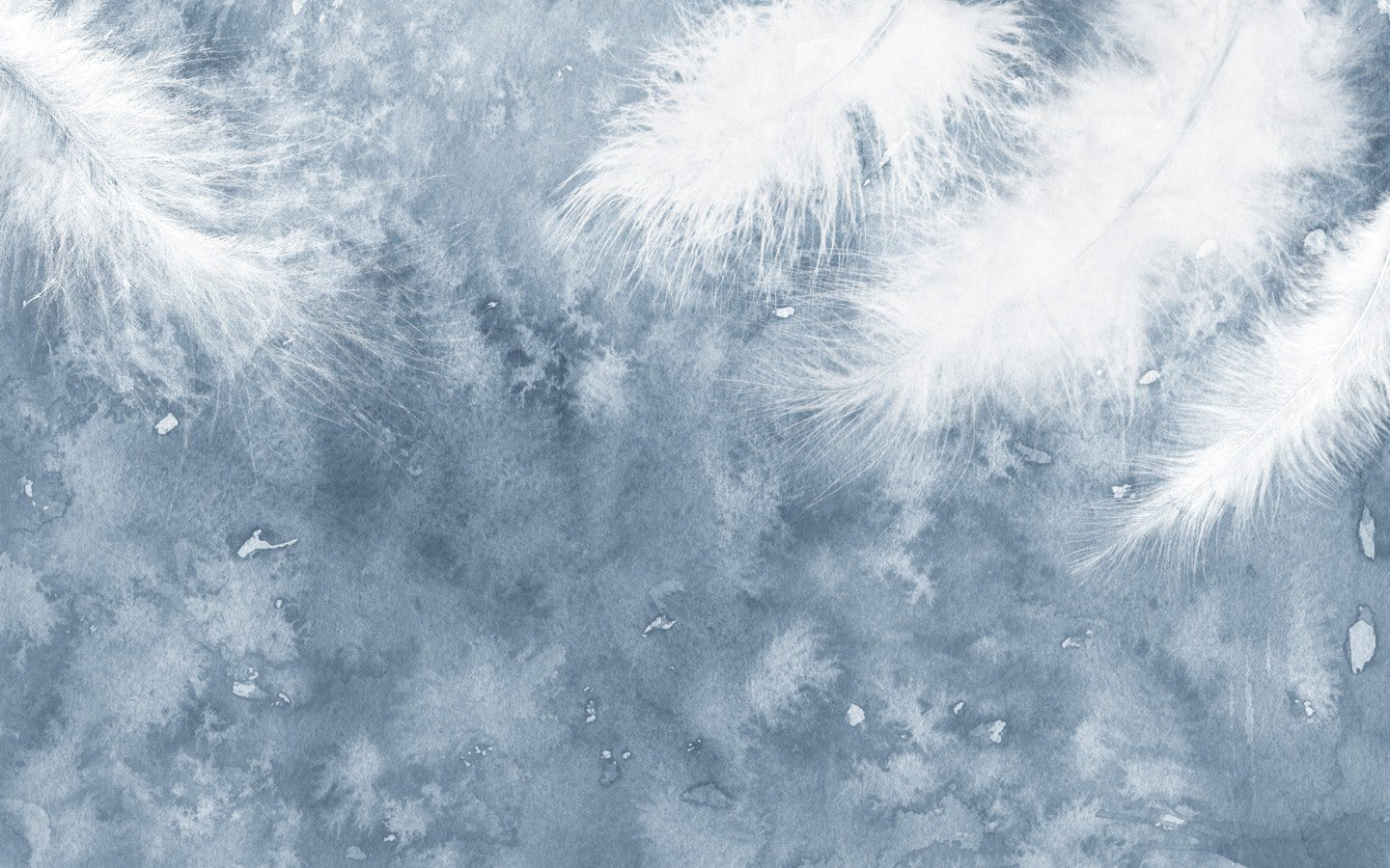 Papier peint Plume Blanche, mural concept, tendance