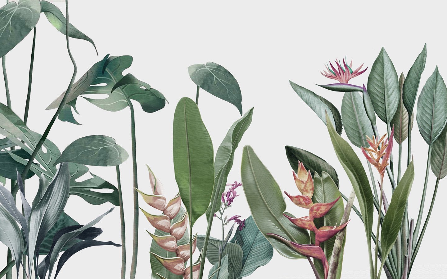 Papier peint panoramique Végétal tropical, mural concept, tendance