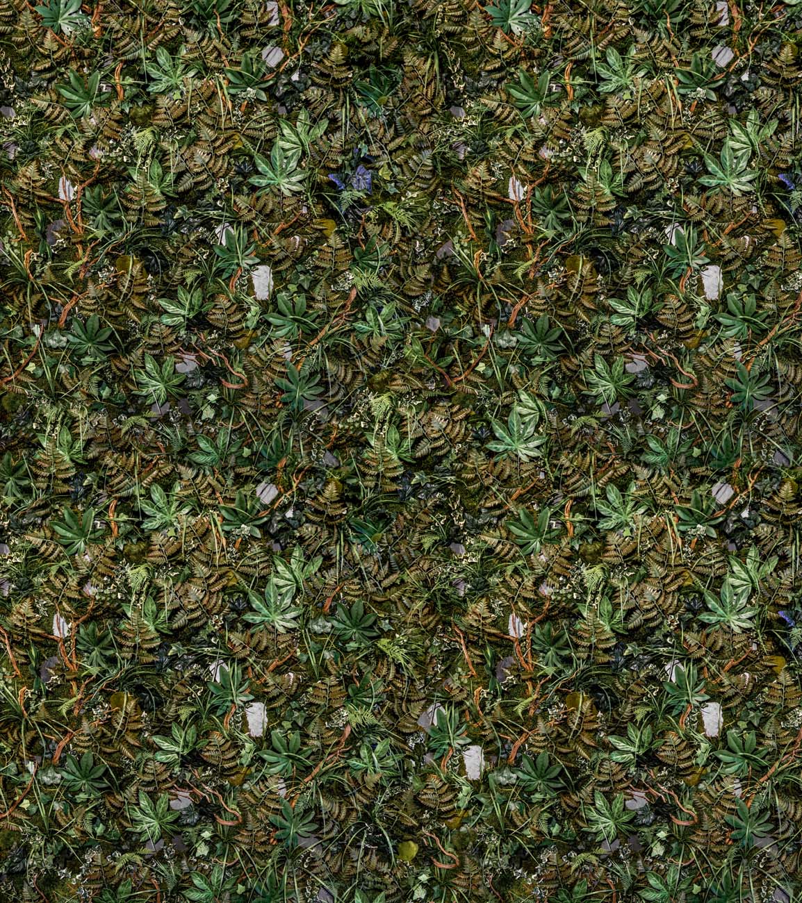 Papier peint panoramique trompe l'oeil mur végétal, XXL, tendance