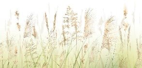 Carta da parati con fiori di campo di grano sfumati