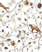 Sfondo dell'avventura nella foresta per bambini