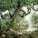 Papier peint enfant jungle secrète, XXL, tendance