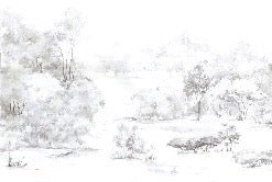 Carta da parati acquerello pineta