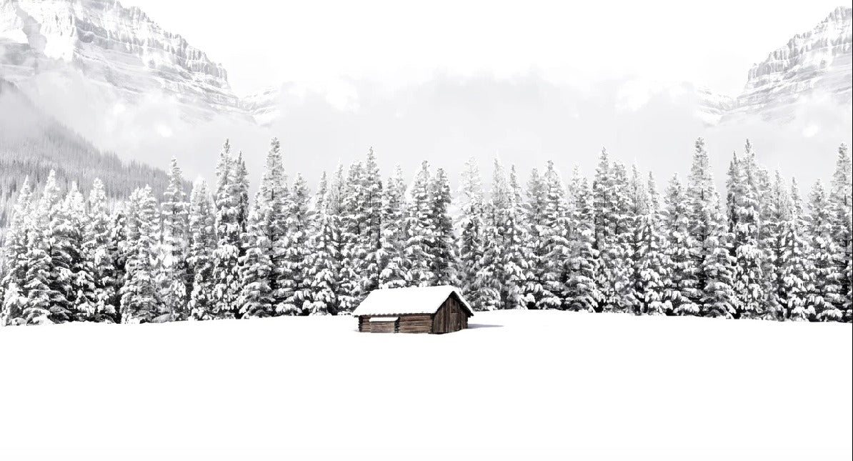 Papier peint panoramique chalet en montagne, XXL, tendance