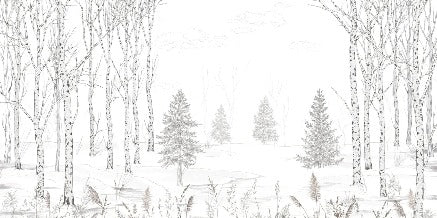 Papier peint forêt d'arbres noir et blanc, XXL, tendance