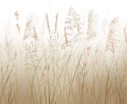 Carta da parati con fiori di campo di grano