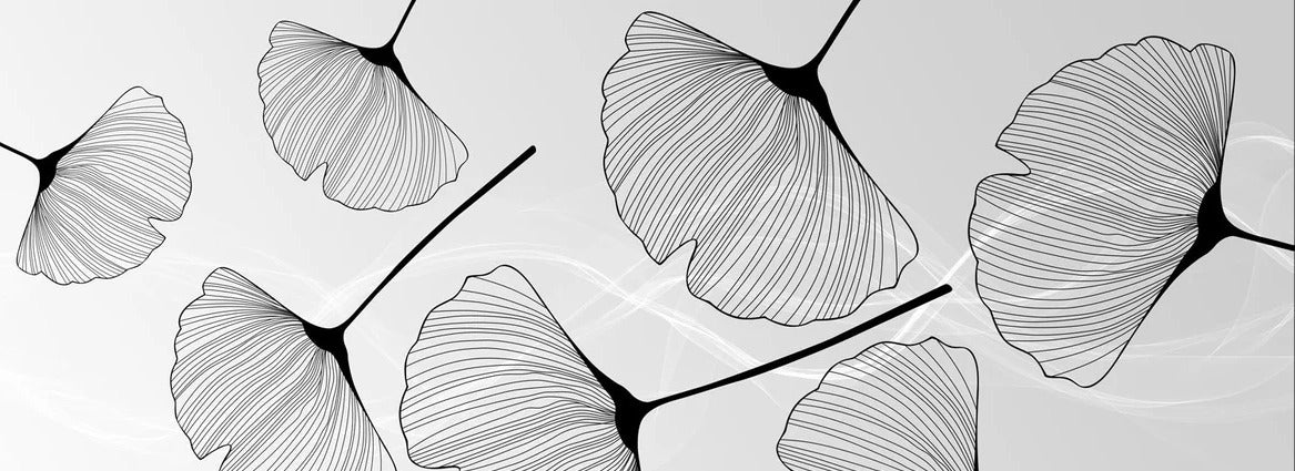 Papier peint panoramique tendance ginkgo noir, XXL, tendance