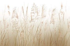 Carta da parati con fiori di campo di grano