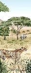 Carta da parati della savana segreta per bambini