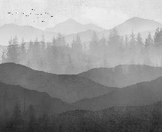 Carta da parati panoramica della natura in bianco e nero