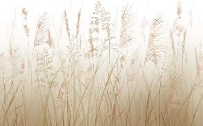 Carta da parati con fiori di campo di grano