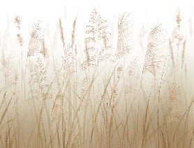 Carta da parati con fiori di campo di grano