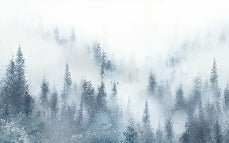 Carta da parati acquerellata blu nebbia di abete