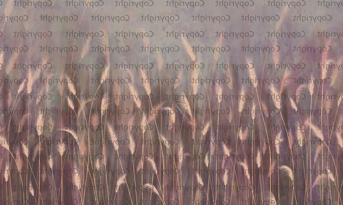 Carta da parati panoramica rosa con erba selvatica