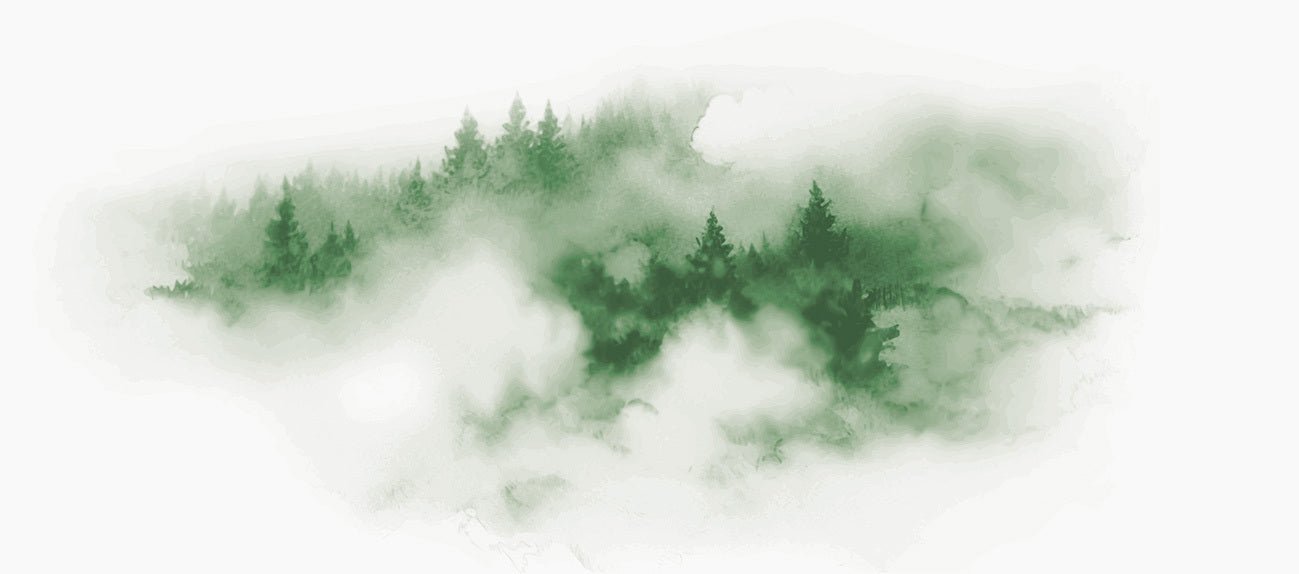 Papier peint brume des Cimes vert, XXL, tendance