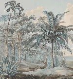 Carta da parati del paesaggio blu di Celebes